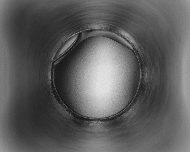 X0000088480938200705291624