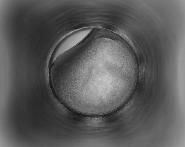 X0000088480939200705291624
