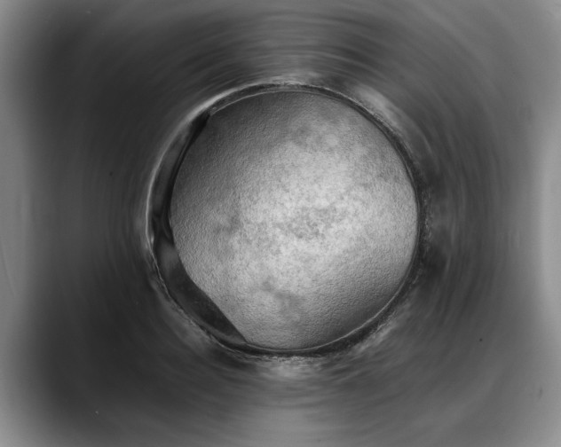 X0000088480940200705291624