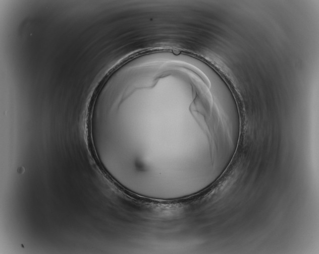 X0000088480941200705291624