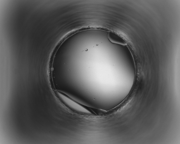 X0000088480942200705291624