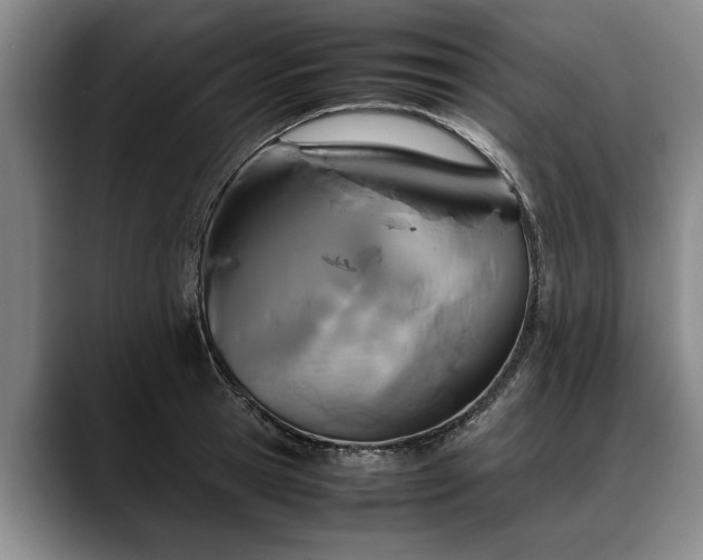 X0000088480945200705291625
