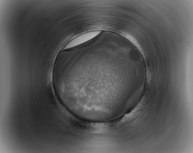 X0000088480946200705291625