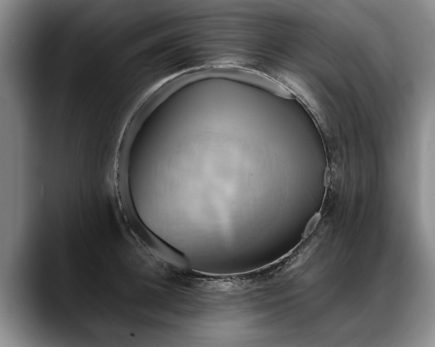 X0000088480948200705291625