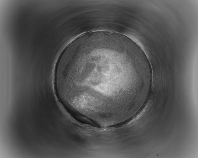 X0000088480949200705291625