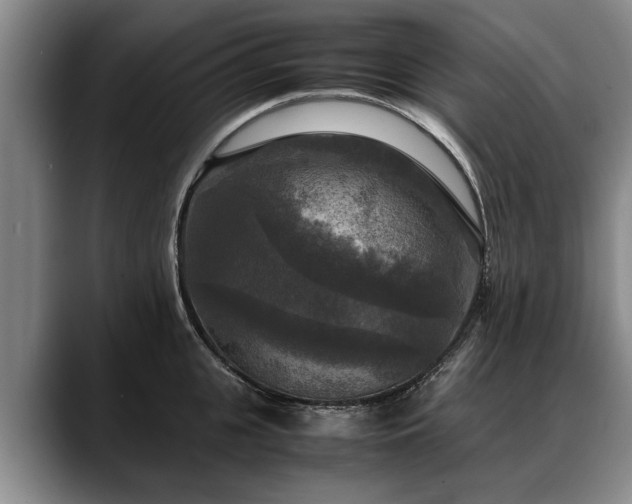 X0000088480951200705291625
