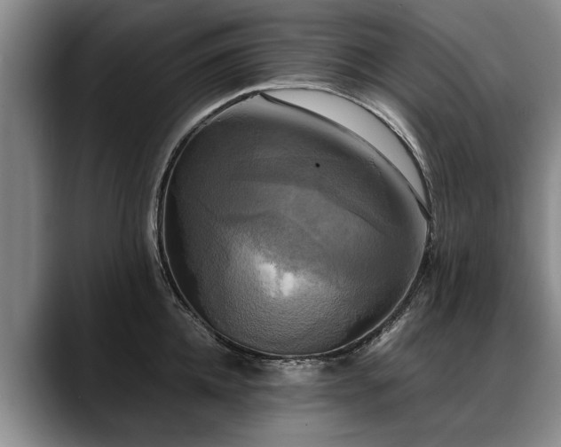 X0000088480952200705291625