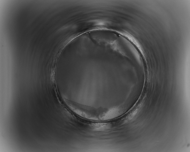 X0000088480953200705291625