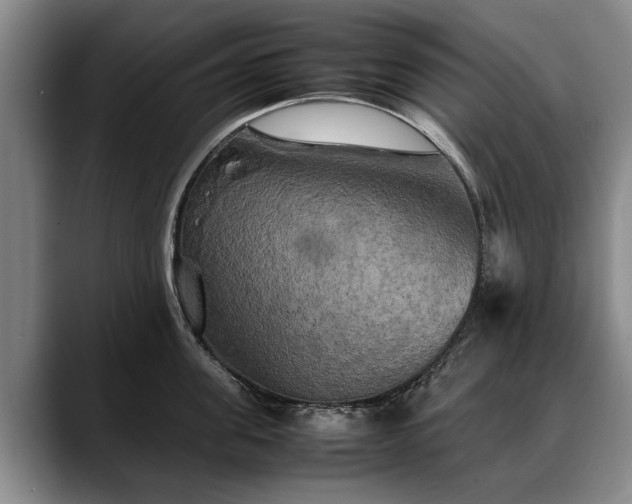 X0000088480955200705291625