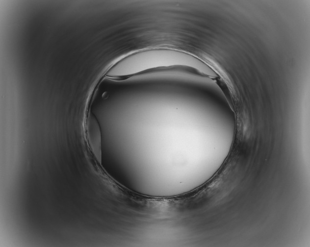 X0000088480956200705291625
