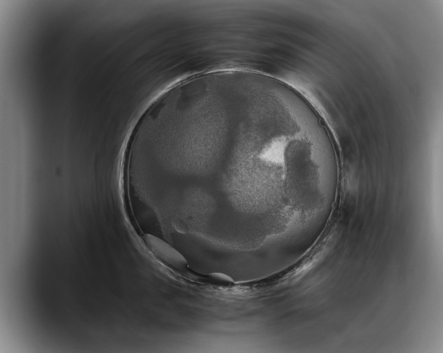 X0000088480957200705291625