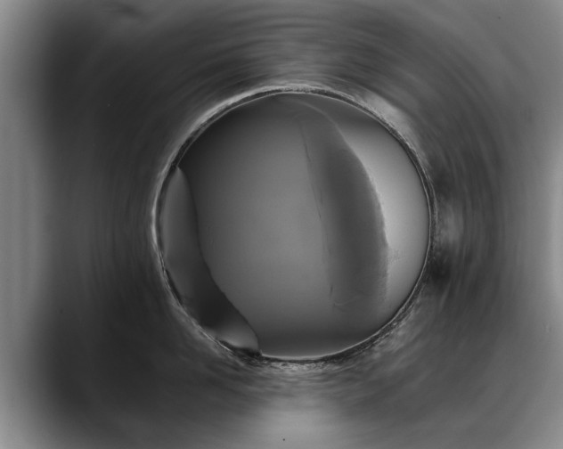 X0000088480958200705291625