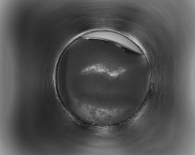 X0000088480959200705291625