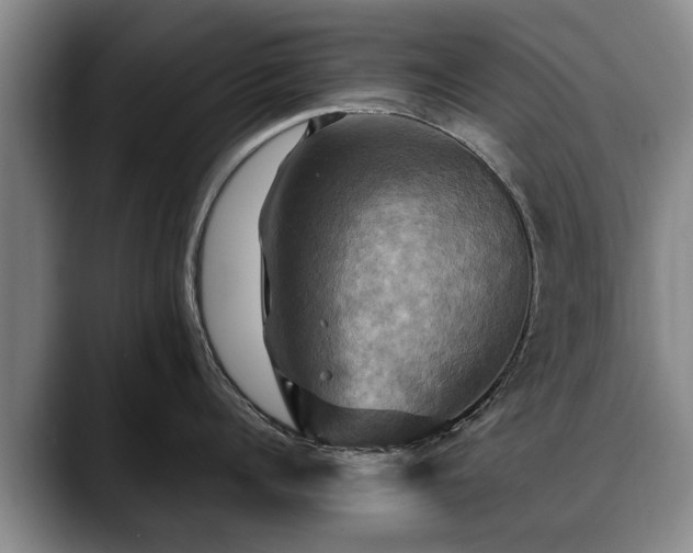 X0000088480960200705291625
