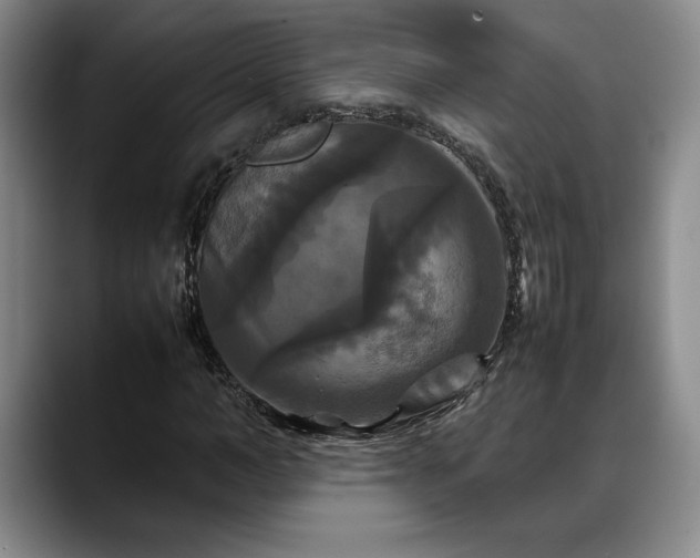 X0000088480966200705291624