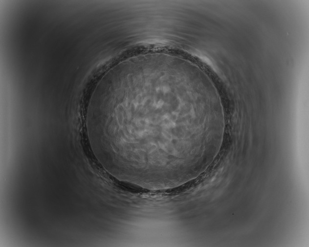 X0000088480967200705291624