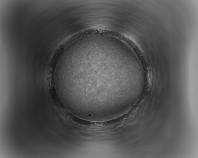 X0000088480968200705291624