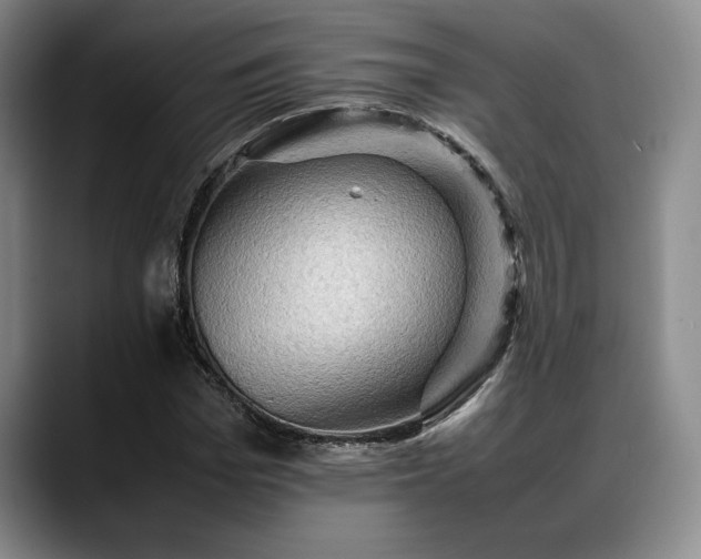 X0000088480969200705291624