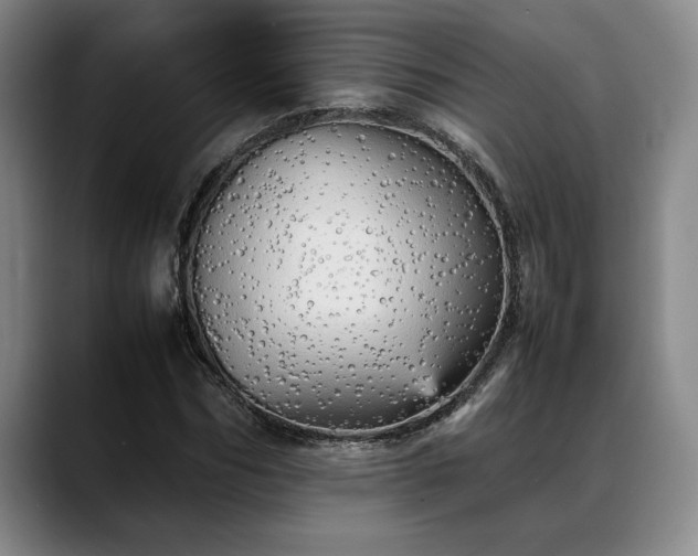 X0000088480970200705291624