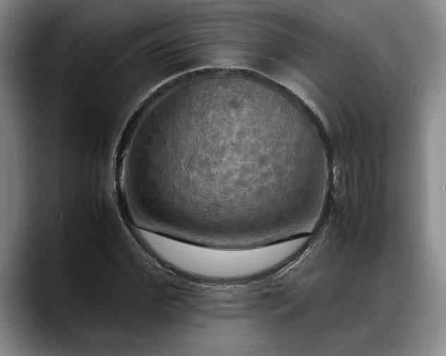 X0000088480972200705291624