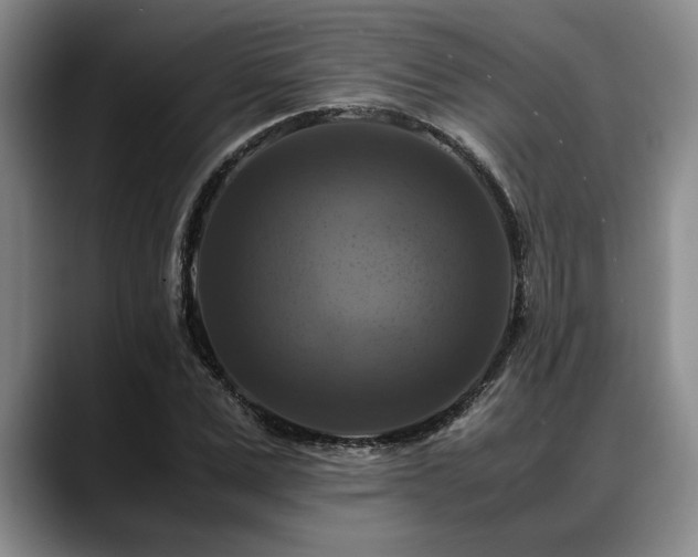 X0000088480975200705291624
