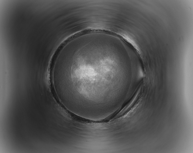 X0000088480976200705291624