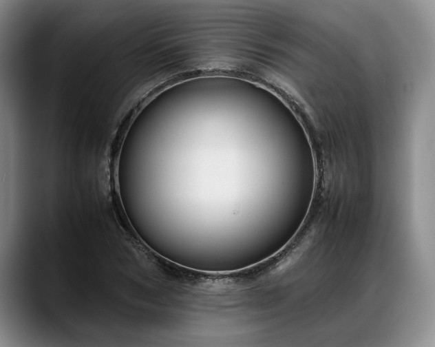 X0000088480978200705291624