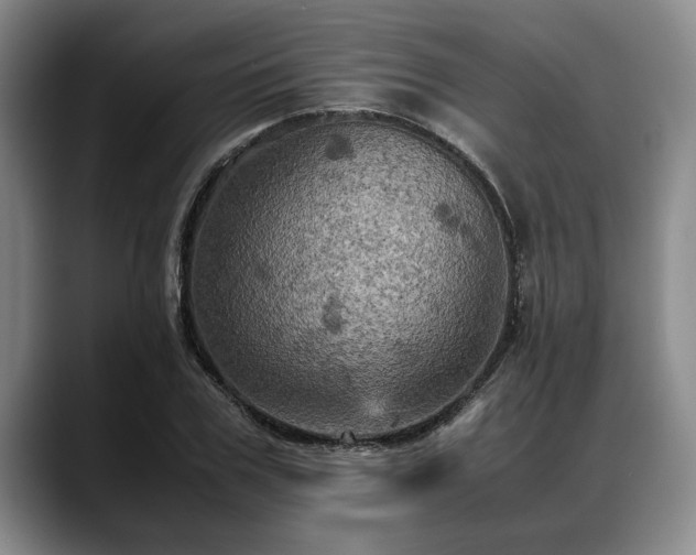 X0000088480979200705291624