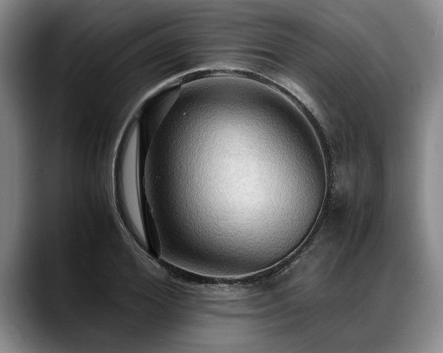 X0000088480980200705291624
