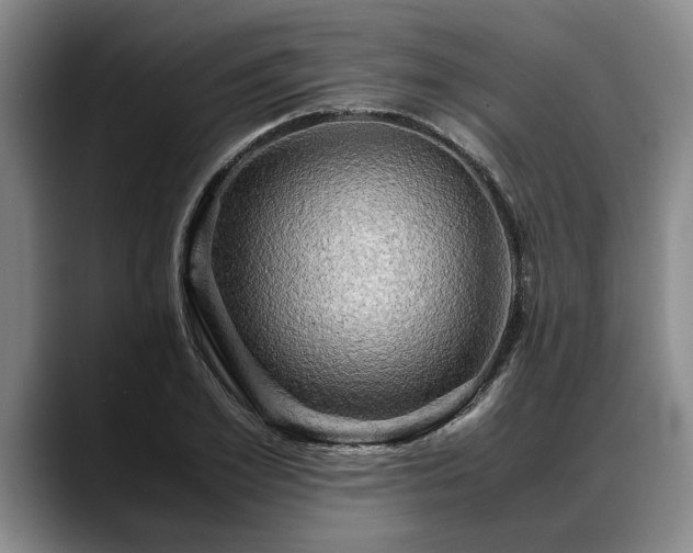 X0000088480981200705291624
