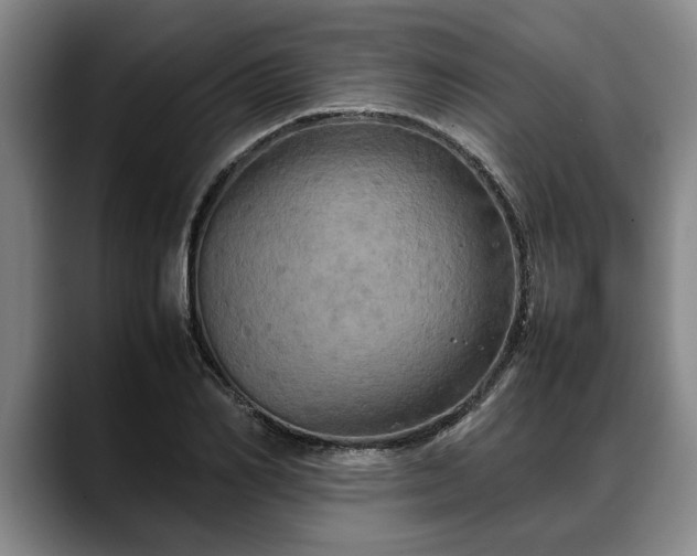 X0000088480982200705291624