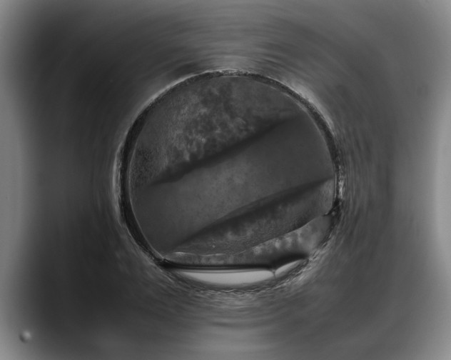 X0000088480983200705291624