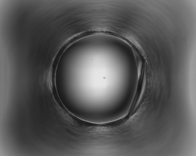 X0000088480984200705291624