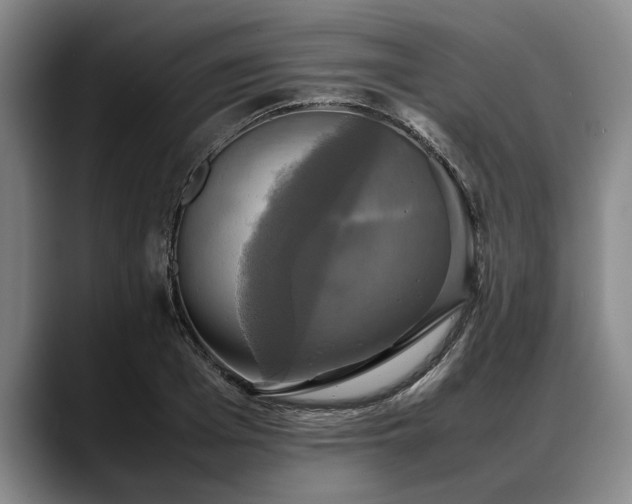 X0000088480985200705291624