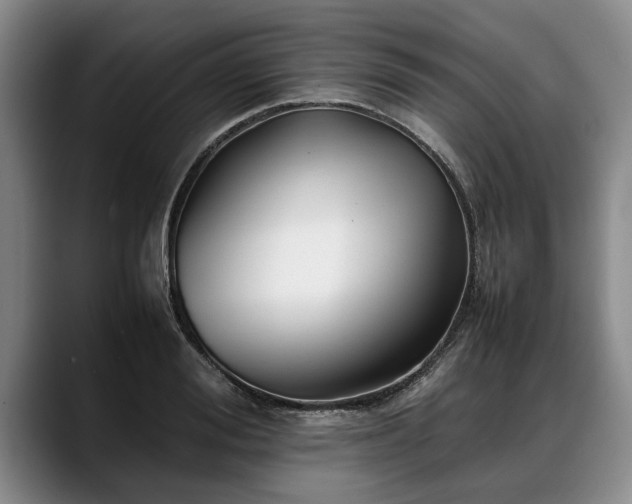 X0000088480988200705291624