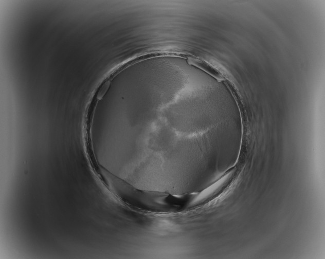 X0000088480989200705291624