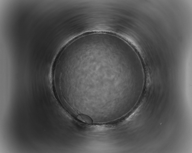 X0000088480990200705291624