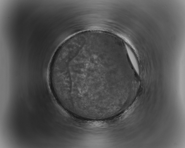 X0000088480991200705291624