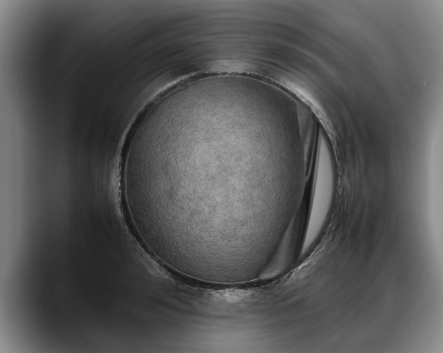X0000088480992200705291624