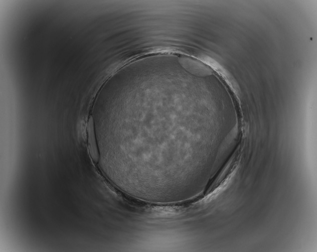 X0000088480993200705291624
