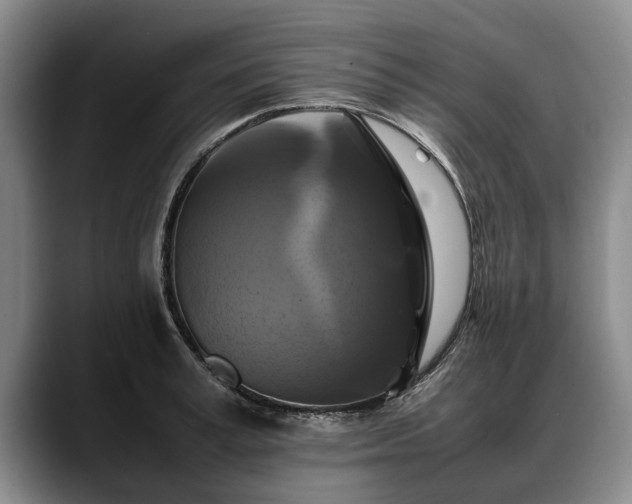 X0000088480995200705291624