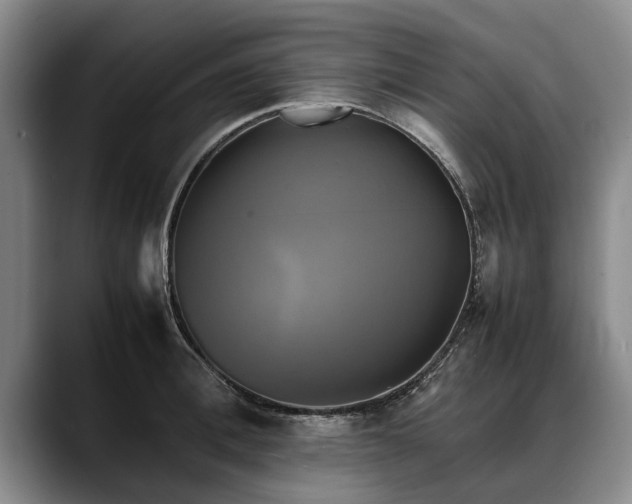 X0000088480996200705291624