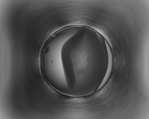 X0000088480998200705291624