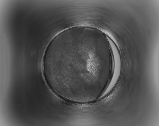 X0000088480999200705291624