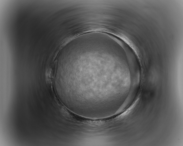 X0000088481001200705291624
