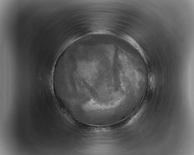 X0000088481002200705291624