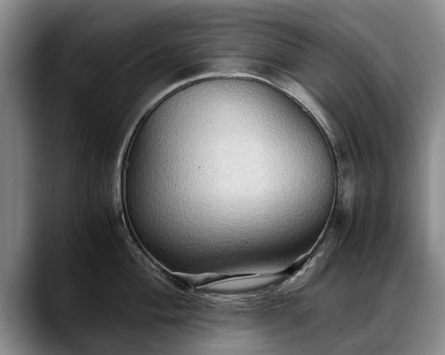 X0000088481004200705291624