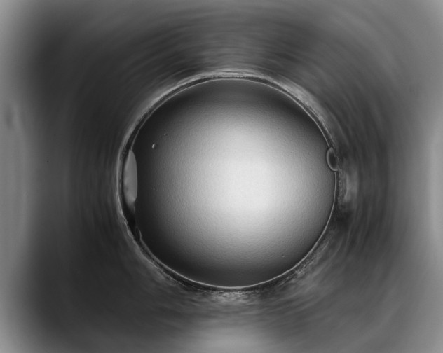 X0000088481006200705291623