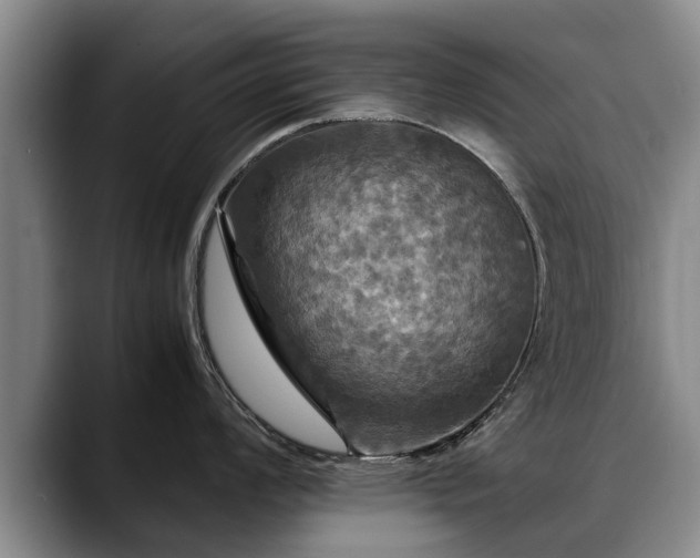 X0000088481008200705291623