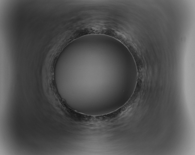 X0000088481009200705291623